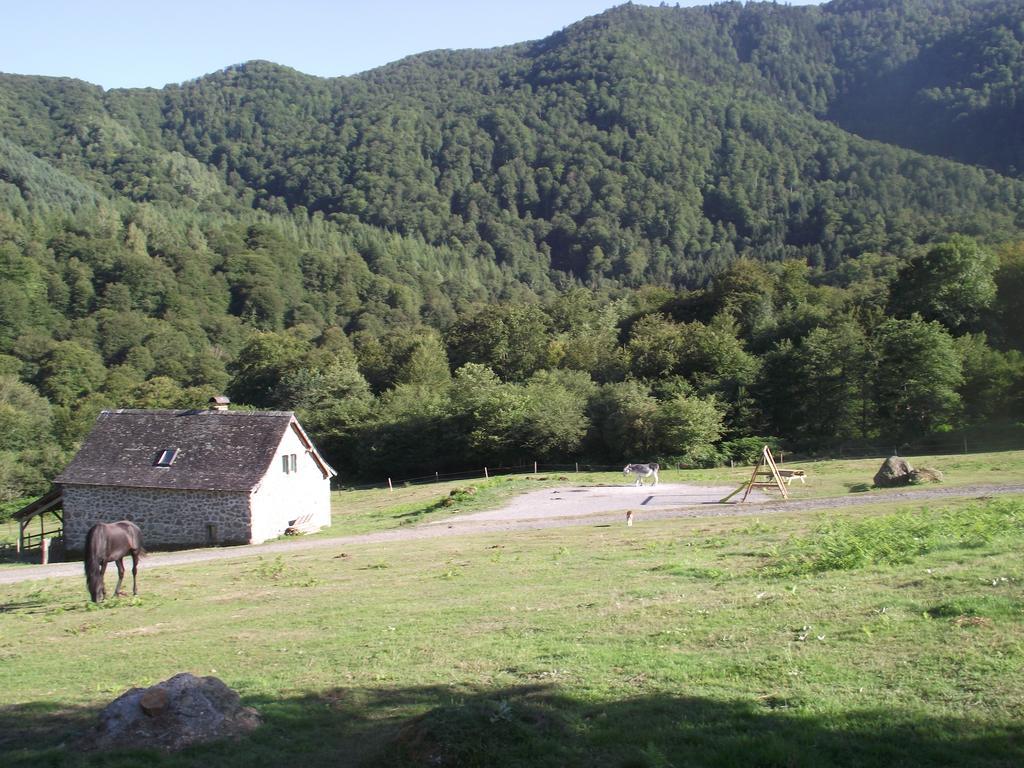 Les Chalets De La Foret D'Issaux Osse-en-Aspe Kamer foto