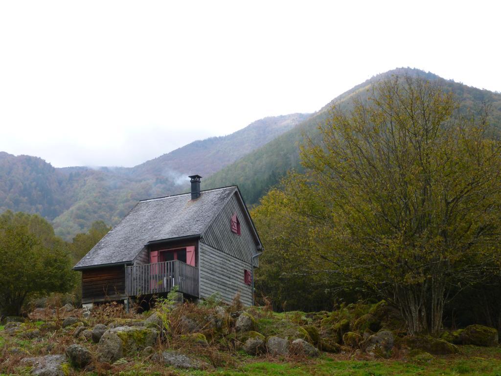 Les Chalets De La Foret D'Issaux Osse-en-Aspe Buitenkant foto