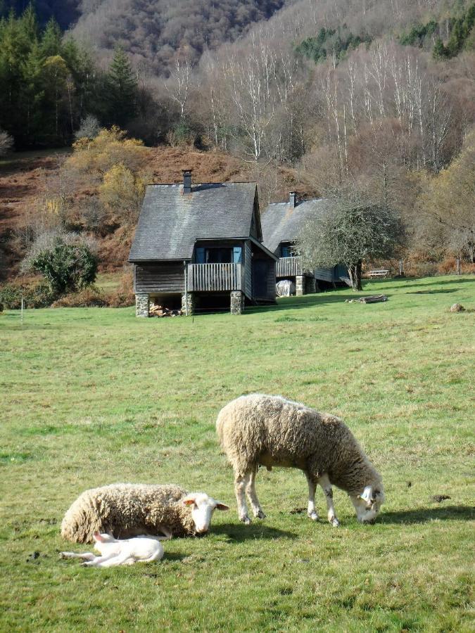 Les Chalets De La Foret D'Issaux Osse-en-Aspe Buitenkant foto