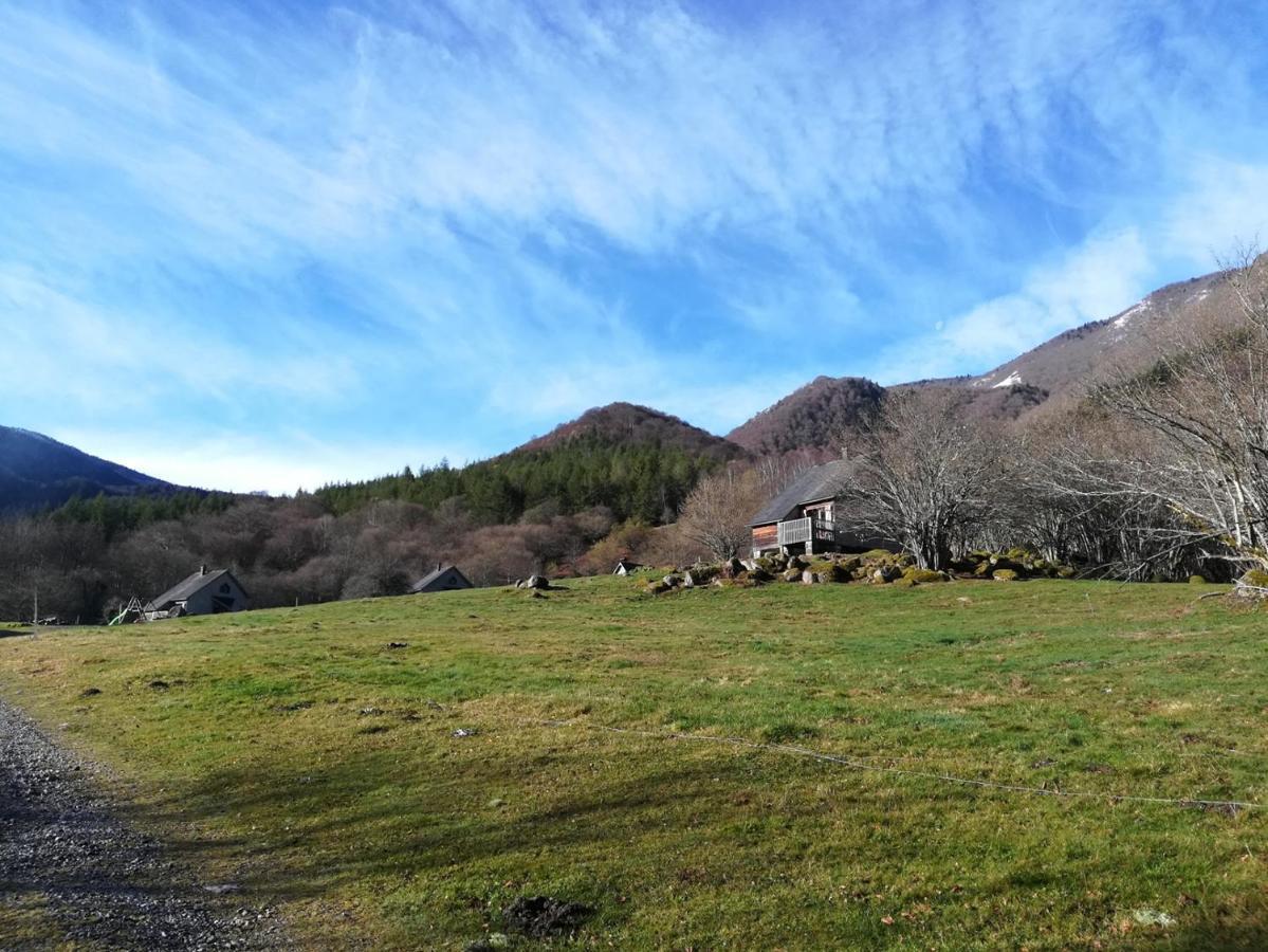Les Chalets De La Foret D'Issaux Osse-en-Aspe Buitenkant foto